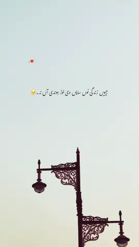 Mention Your Brother 🥺♥️🦋  #foryou #foryourpages #poetry #aesthatic #poetrystatus 
