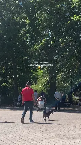 an average sunday afternoon w/ live music in the park & grandpas dancing in wheelchairs — makes every penny worth it <3 #nyc #nyclife #fyp 