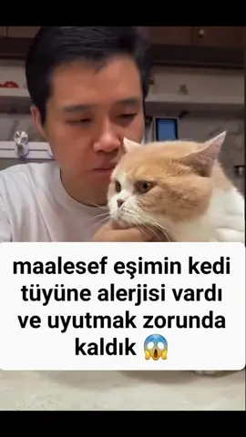 Sonunu izle neden çıkma 😂😂😂#tiktoklive #keşfet #cat #kedi 
