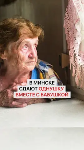 В Минске сдают однушку вместе с бабушкой #минск #минскаяобласть #минсксейчас #недвижимость #беларусь 