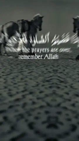 #quran #creatorsearchinsights #salah #fyp #foryou 