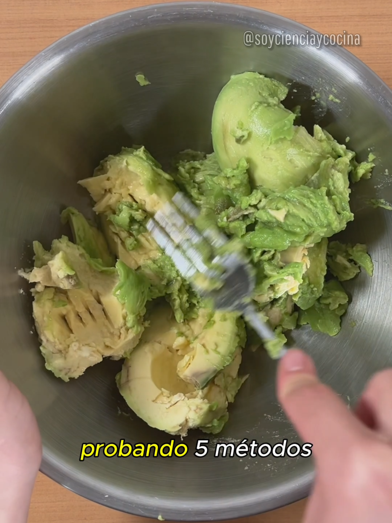 ¿Tu aguacate o palta molida siempre se pone café? 🥑 Probamos 5 métodos caseros muy populares para evitar la oxidación: limón, leche, aceite, papel húmedo y un control sin nada. Los dejamos primero en refrigeración y luego a temperatura ambiente para comprobar cuál funciona mejor. Los resultados te sorprenderán: algunos trucos no funcionan como crees… y hay un ganador claro que mantiene la palta fresca y sin oxidación. En este video de Ciencia y Cocina aprenderás: ✅ Por qué ocurre la oxidación en el aguacate o palta. ✅ Qué métodos ayudan realmente a conservarlo. ✅ El truco más efectivo para que dure más tiempo verde y apetitoso. Cómo evitar que el aguacate o palta molida se oxide: 5 métodos puestos a prueba #cienciaycocina #palta #aguacate
