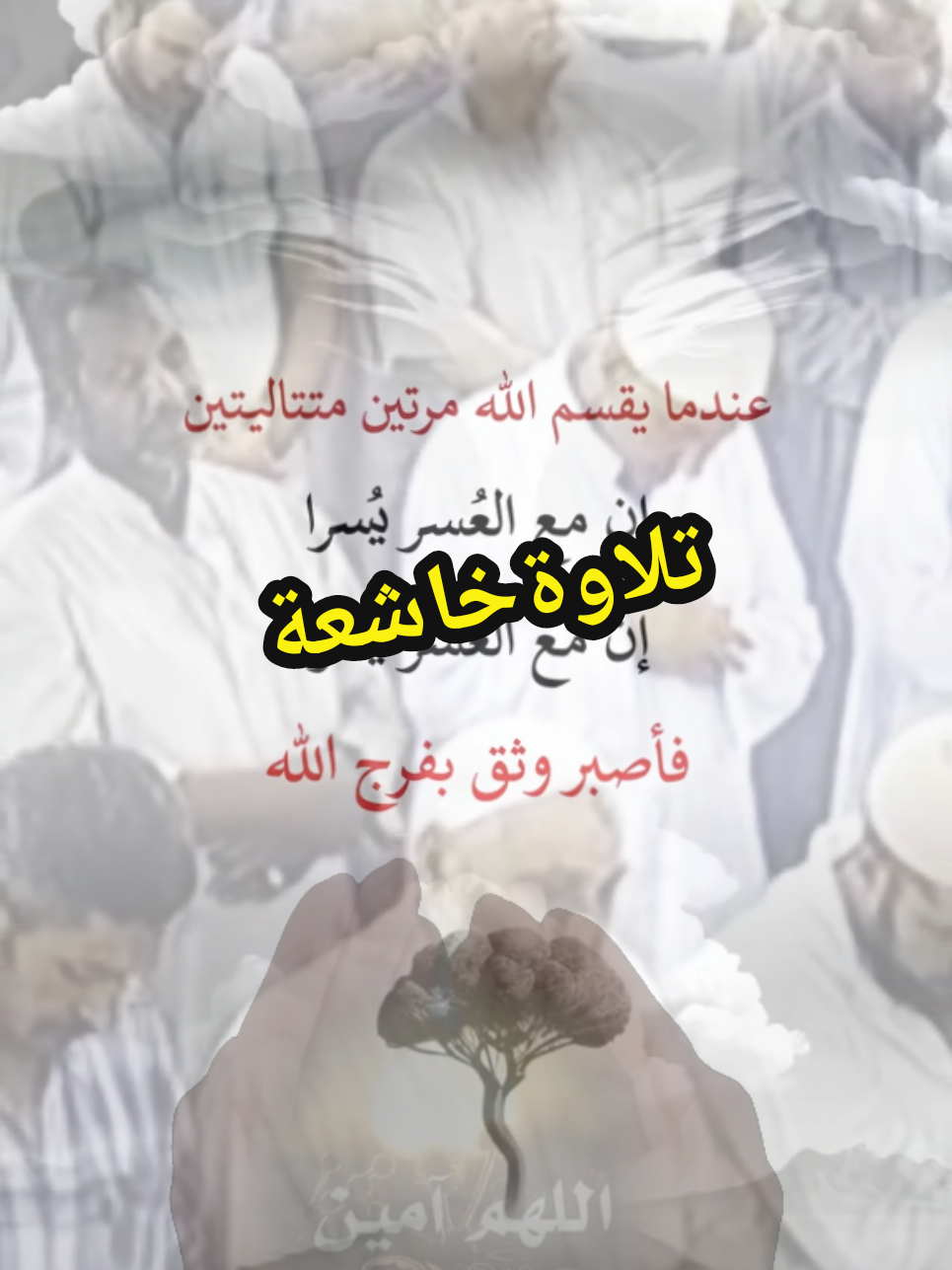 #القران_الكريم #تلاوة_خاشعة #راحة_نفسية #ارح_سمعك_بالقران #ماشاءالله_تبارك_الله 
