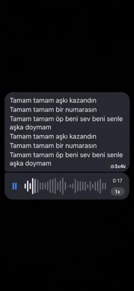 Tamam tamam | #tamamtamam #cover #covers #viralvideo #turkish 