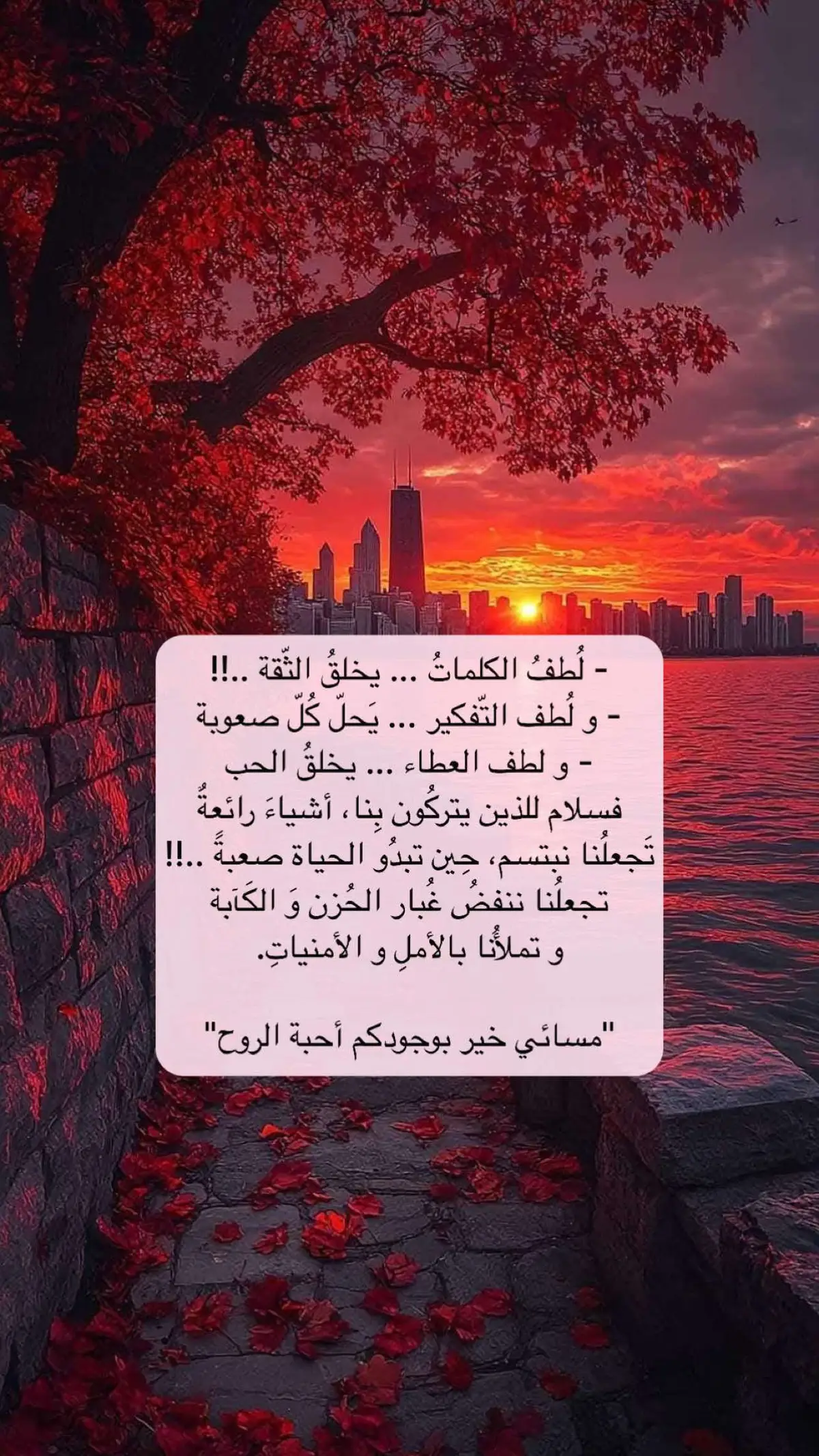 #السلام #شكرا #اقتباسات #خواطر #اكسبلور 