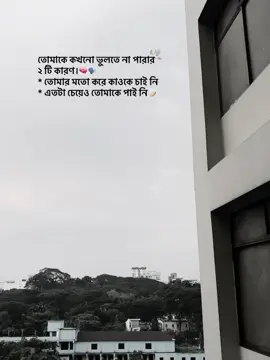 তুমি থাকতে চাও নি তাতে আমার কোনো সমস্যা ছিলো না।তবে আমি তো তোমাকে পাওয়ার জন্য কোনো কমতি রাখি নি,তবুও তোমাকে পাই নি কেনো!😅💔#aesthetic #aestheticvibes #viralvideo #trending 