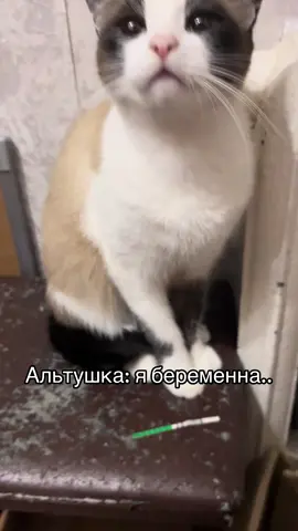 Vazюня