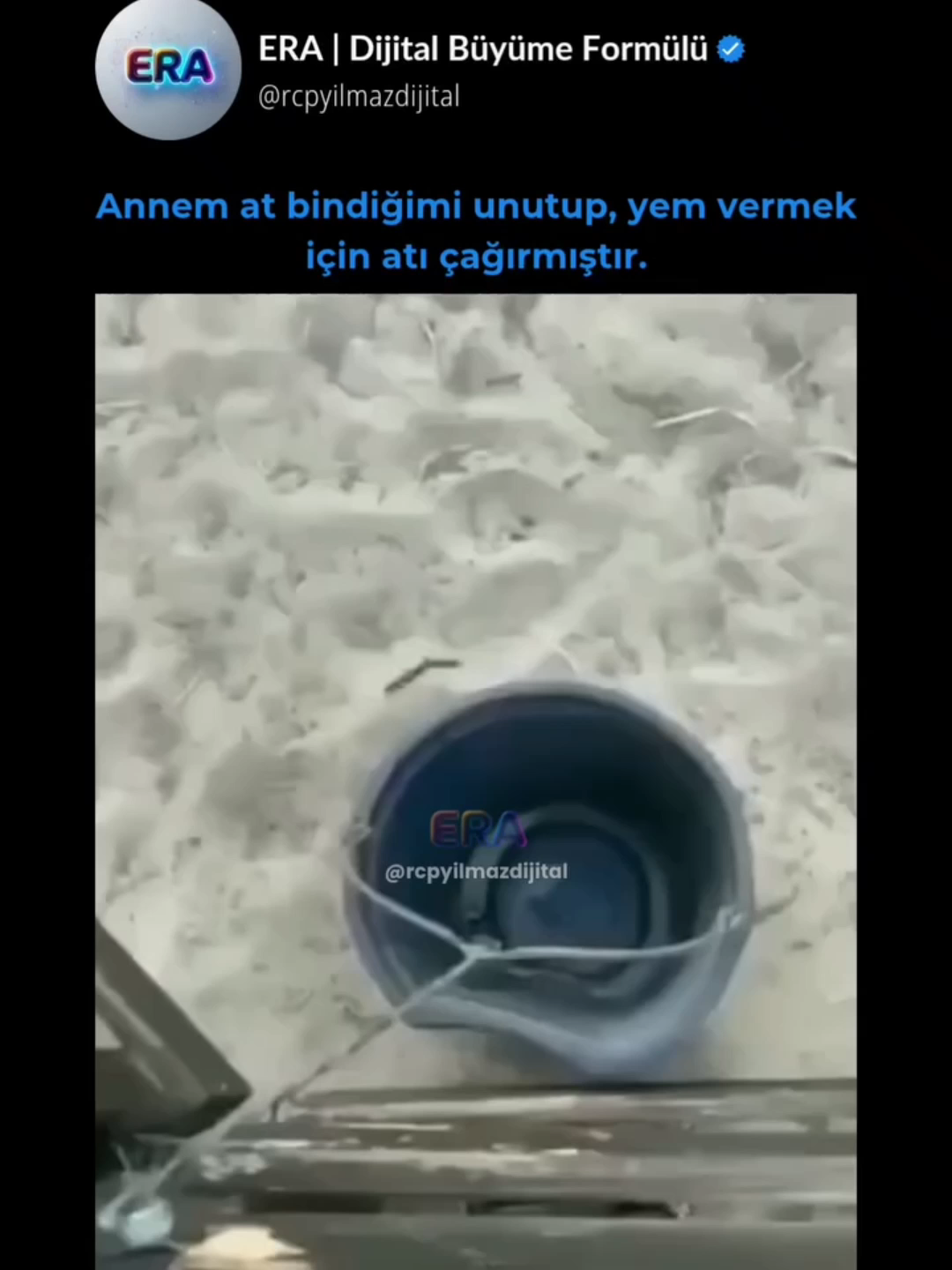 Sürücüsünü Park Etii 🤣