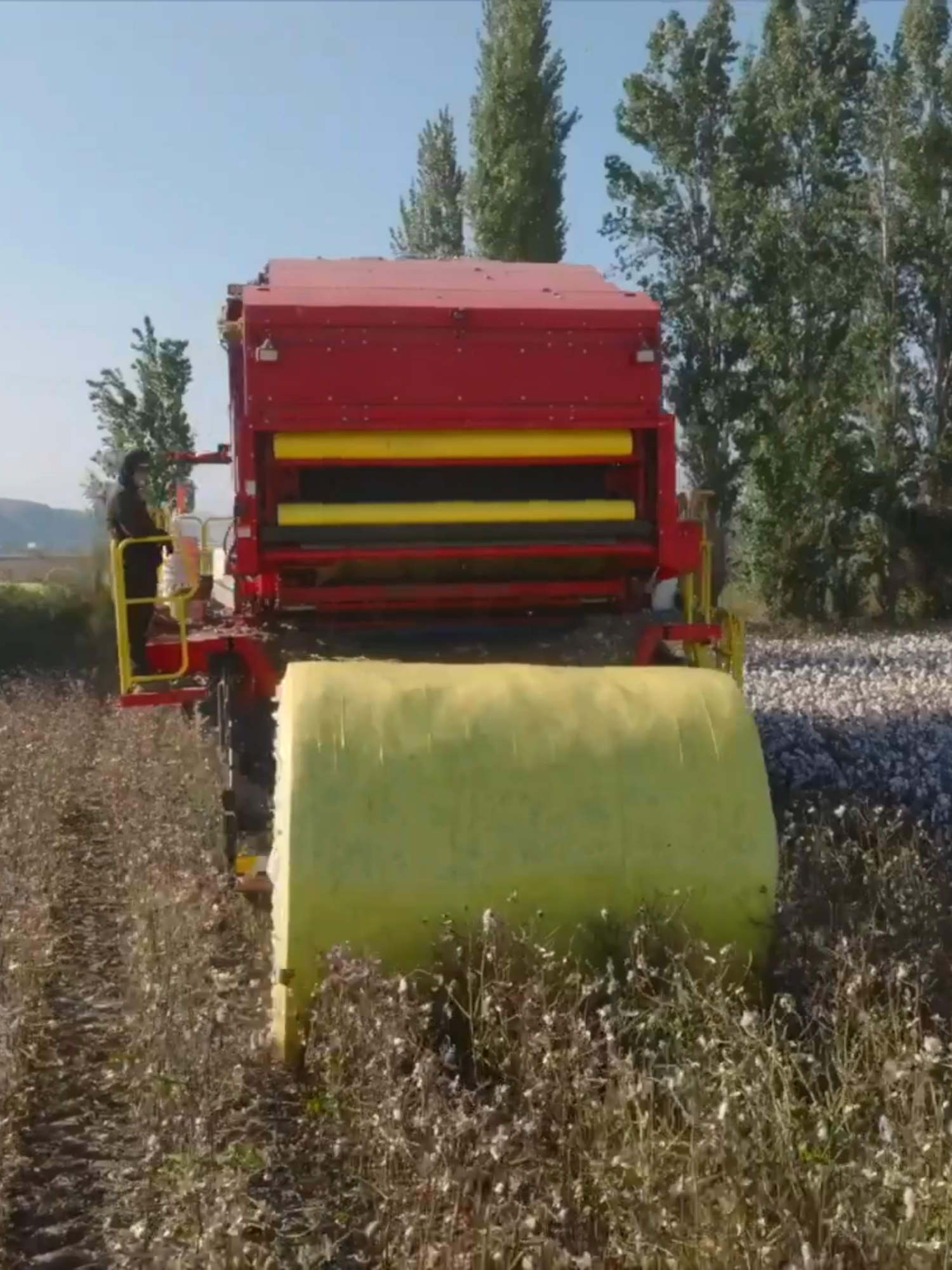 Xinjiang's cotton harvest is in!🚜 Thanks to mechanised production & efficient logistics, this year's bumper crop will seamlessly reach factories across the country, boosting local incomes and powering China's textile industry. #China #Xinjiang