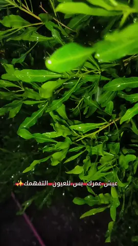 #تصويري صعدوو لايك يلا 😍 #ماما_اشتقتلك_كثيرأ #رانيا_دوله_كنتاكي #مسلسل_خفقان_بكاء_اصلي #نور_سمايل_تبجي 