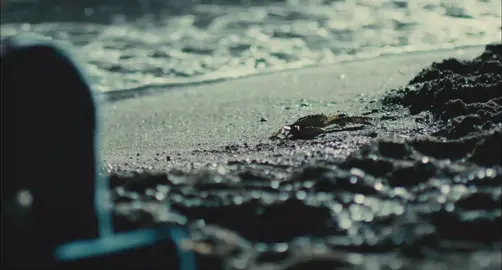 Romantik Komedi 2 #romantikkomedi #sinemkobal #film #fy #komedi 