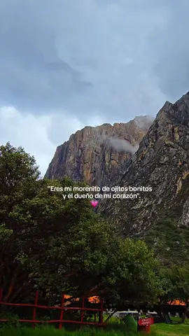 #amor #teamomiamor♥️😍👩‍❤️‍👨 #vidamia #🦕 #frasesparadedicar 
