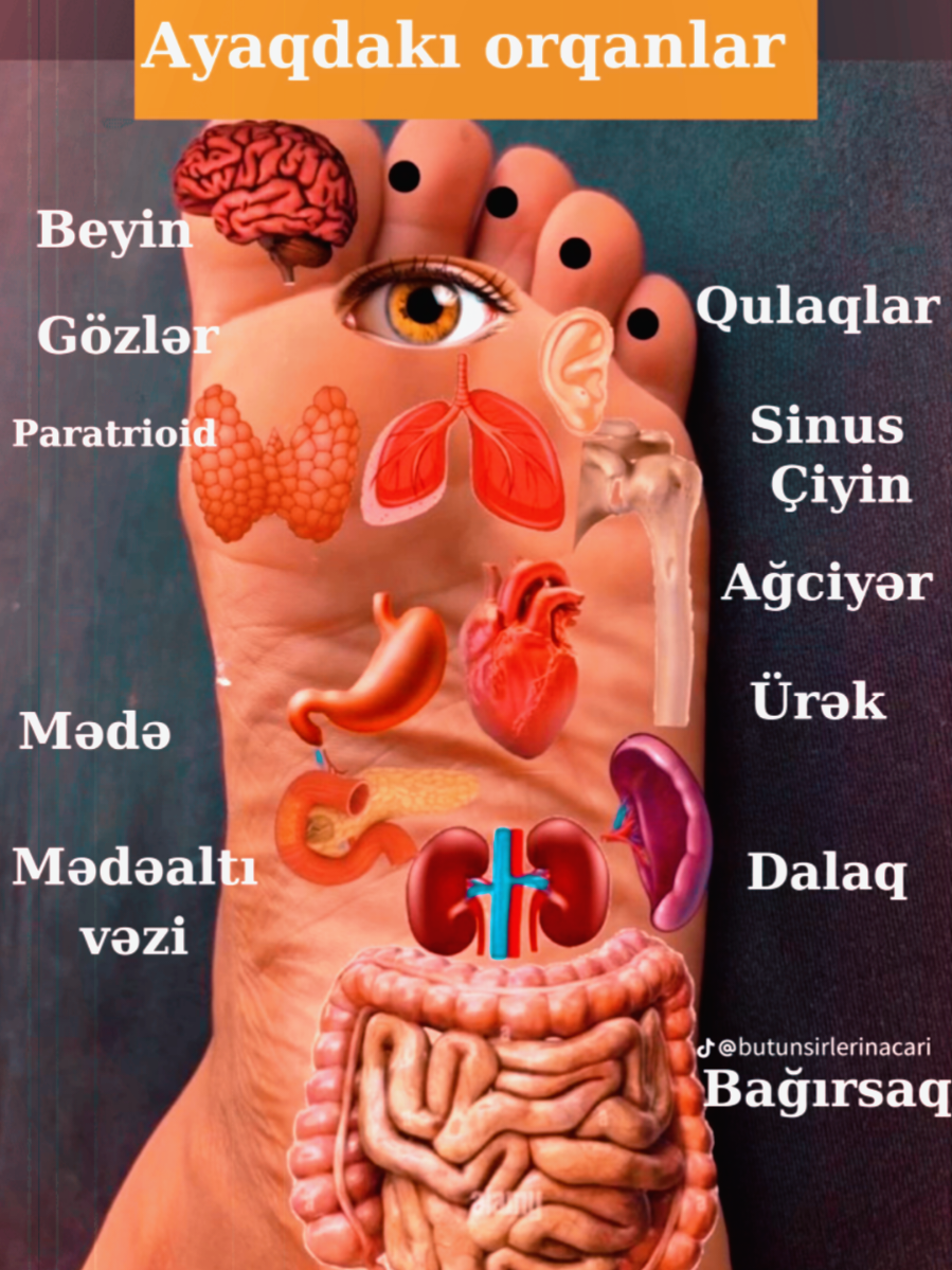 Yeni mehsullar geldi. #kəşfet #akapunktur  #mualice  #tedavi  #saqlamliq 