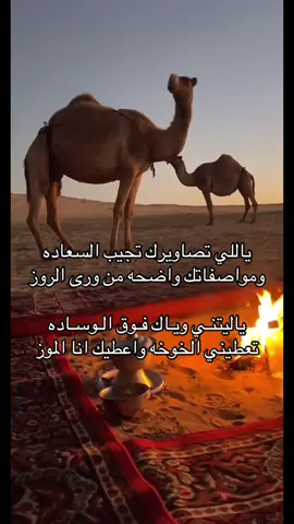 سنابي far.o8