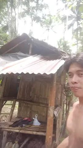 wc cari sandiri 