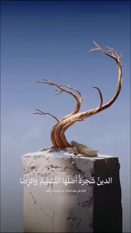 #الموسوي  #العراق_السعوديه_الاردن_الخليج_الكويت 