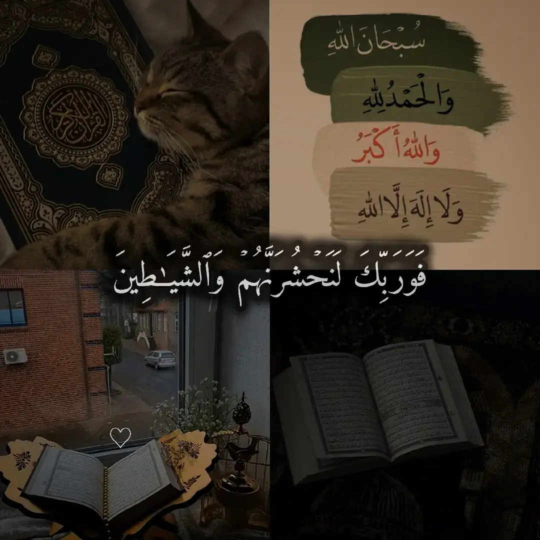 #القرآن_الكريم #اللهم_صلي_على_نبينا_محمد #الحمدلله_دائماً_وابداً #Quran 