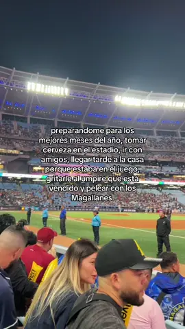 (Pov) Los magallanes son mis amigos JAJAJAJ. Béisbol llega ya! ⚾️🦁