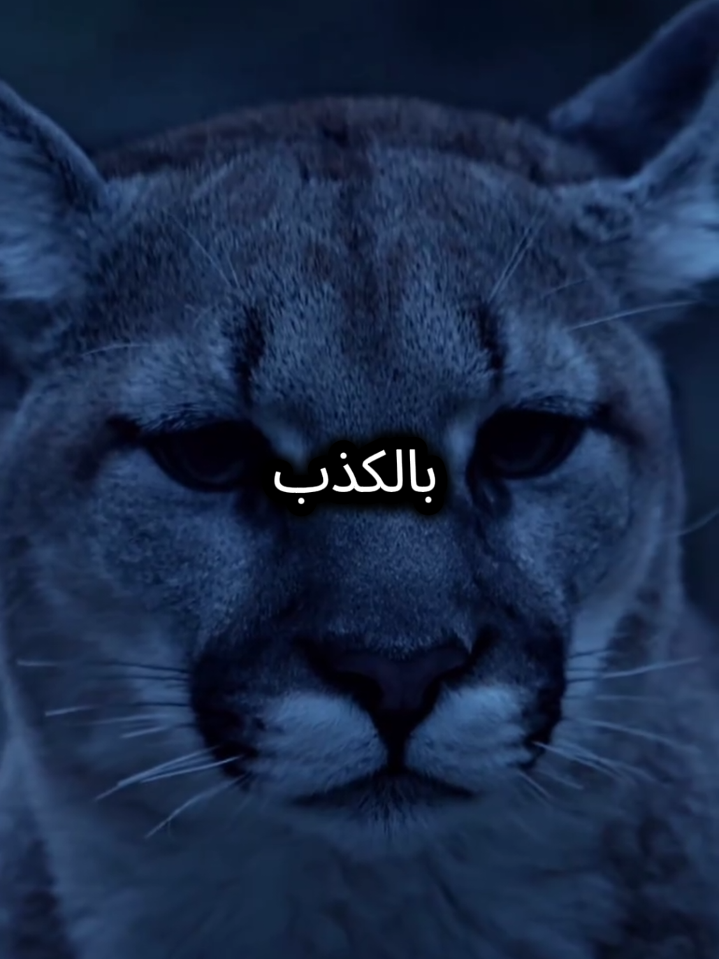 لا تتعب قلبك وانت تنتظر من الناس ان يفهموا حقيقتك #اقتباسات_عبارات_خواطر #اقوال_وحكم_الحياة #كلام_من_ذهب #المواقف #خواطر 