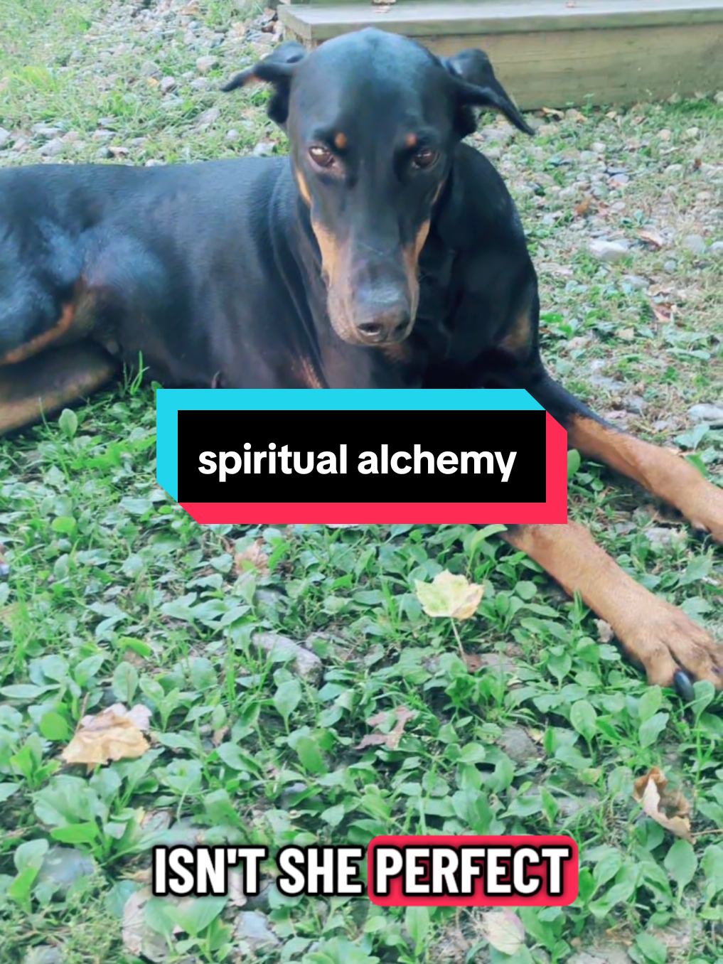 alchemize the BS 💜🌄  link in bio #alchemy #spiritual #consciousness #wickedmysterious 