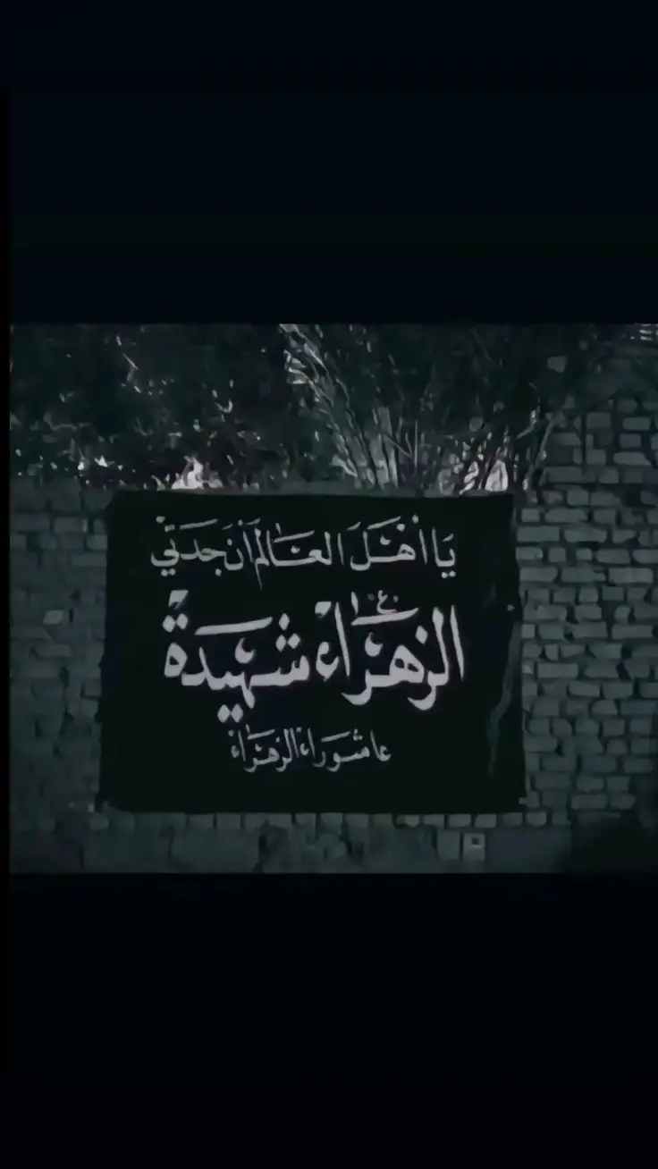 #محمدباقرالخاقاني #استشهاد_فاطمه_الزهراء_ع_كسر_ظلعها_ #يافاطمة_الزهراء #صعدو_الفيديو #لايكات 