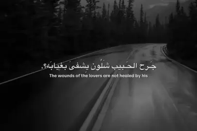 #مهدي_العبودي 