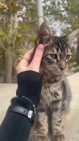 Birdə görəcəksiz ki,onsuz haçan yazsam baxacaq deyib,mesajını çatdırıb oxuya bilmədiyiniz insana zəng çatmır,telefon ya sönülü olacaq yada başqası açıb baş sağlığı verəcək.... Həyat çox qısadır...🥀🥀