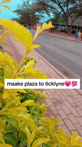 maake plaza to ticklyne 💖💖💖
