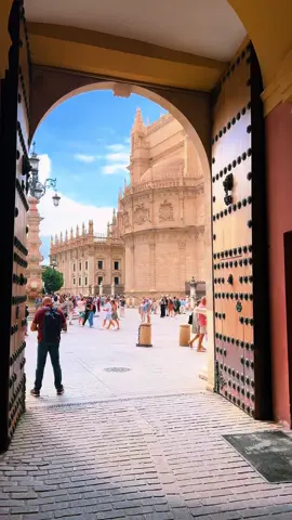 Vista de la plaza virgen de los Reyes desde El Arzobispado de Sevilla. 🕍🕌 #sevilla #españa #viral #foryou #parati 