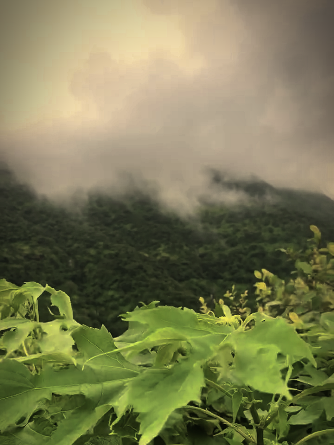 nature sound tranding #darkview #naturevibes #tamilvibes #tamilbgm #darkscenery 