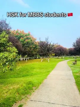 HSK for MBBS Students 🇨🇳 @Faizan Yusafzai 🎖️ @SnapNShare @UK IN CHINA 🇨🇳 @wajeeh_ khan_4932 @Afnan Khan @Uzair khan 881 @Adnan @Dr-Tariq 🩺 #HSK #mbbs #medicalstudent #fyp #yangtze 