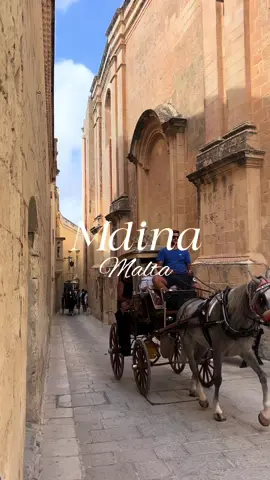 📍Mdina, Malta #mdina #mdinamalta🇲🇹 #maltatiktok #viral #citybreaks 
