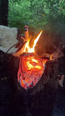 لآ تُكْثِر الشَّكْوَىَ فَيَأْتِيِكَ الهَّمْ ? وَلكِن ~ ” ?أَكْثِر مِنْ الحَمْدُ لِلَّه~* ? تَأْتِيِكَ السَّعَادَة