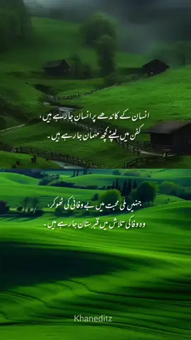 haye 🥺💔😭  #unfreezemyacount #foruyou #1millionaudition #aestheticvideos #tiktokviral 