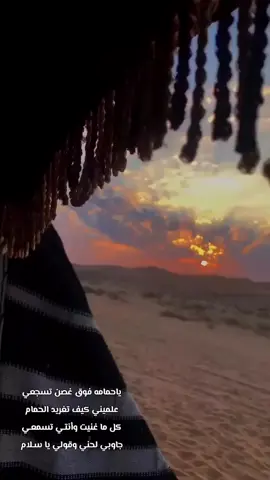 #عيسى_الاحسائي: #اكسبلور 