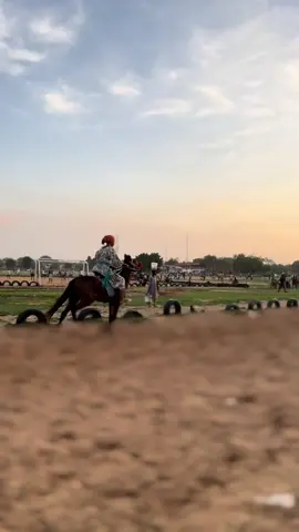 🐴🤎🤎🤎. 