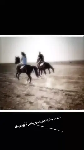 #خيل_وخياله🐎 #تصميم_فيديوهات🎶🎤🎬 #المصممين #لايك_متابعه_اكسبلور #fyp 