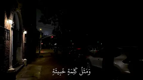 ﴿وَمَثَلُ كَلِمَةٍ خَبيثَةٍ كَشَجَرَةٍ خَبيثَةٍ اجتُثَّت مِن فَوقِ الأَرضِ ما لَها مِن قَرارٍ﴾ [إبراهيم: ٢٦]#ياسر_الدوسرى #سورة_إبراهيم #اكتب_شي_توجر_عليه 