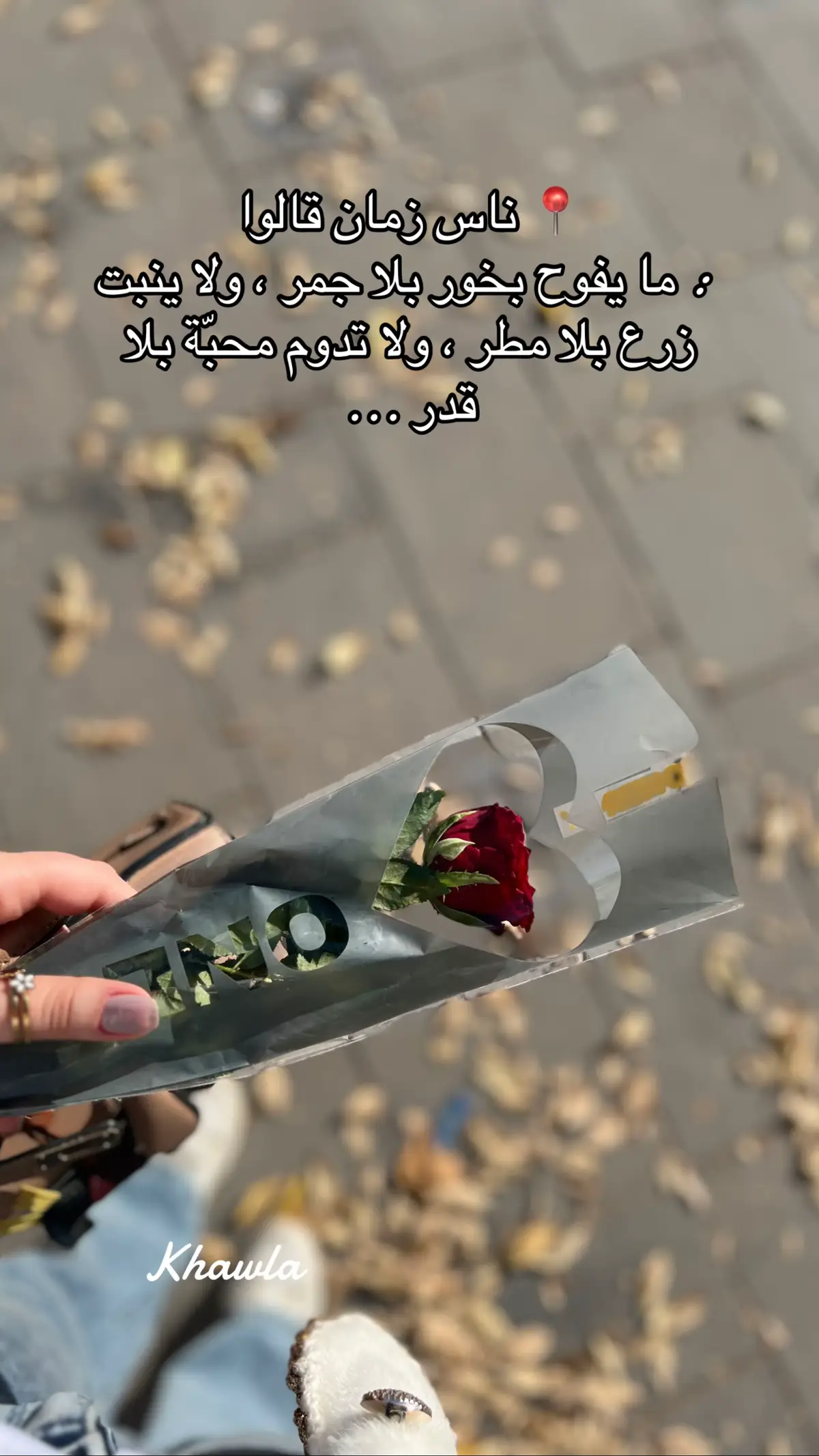 #تصويري #مساء_الخير #pyf #algeria 