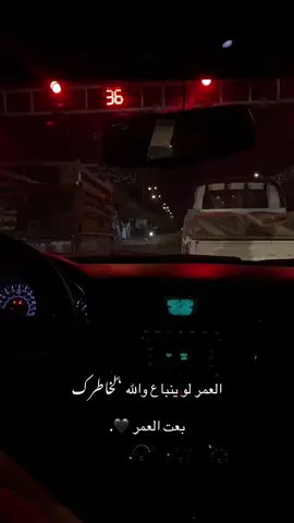 #كربلاء_المقدسة 