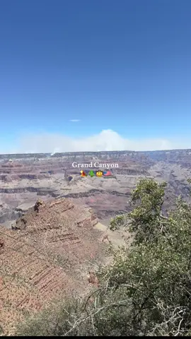 🏜️🇺🇸🌵🤠#grandcanyonnationalpark #usawestcoast #usatravel #grandcanyon 