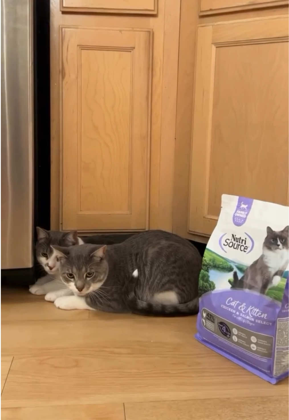 Because your fur babies deserve both snuggles and the good stuff. 😻🐾 Real chicken, salmon, and superfoods for a happy, healthy cat. #NutriSource #PowerthePurr #CatFoods #NutriSourceCatFood #FoodChanges  
