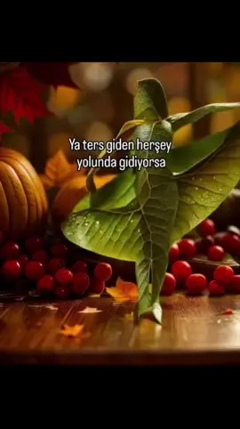 #keşfetteyizzz 