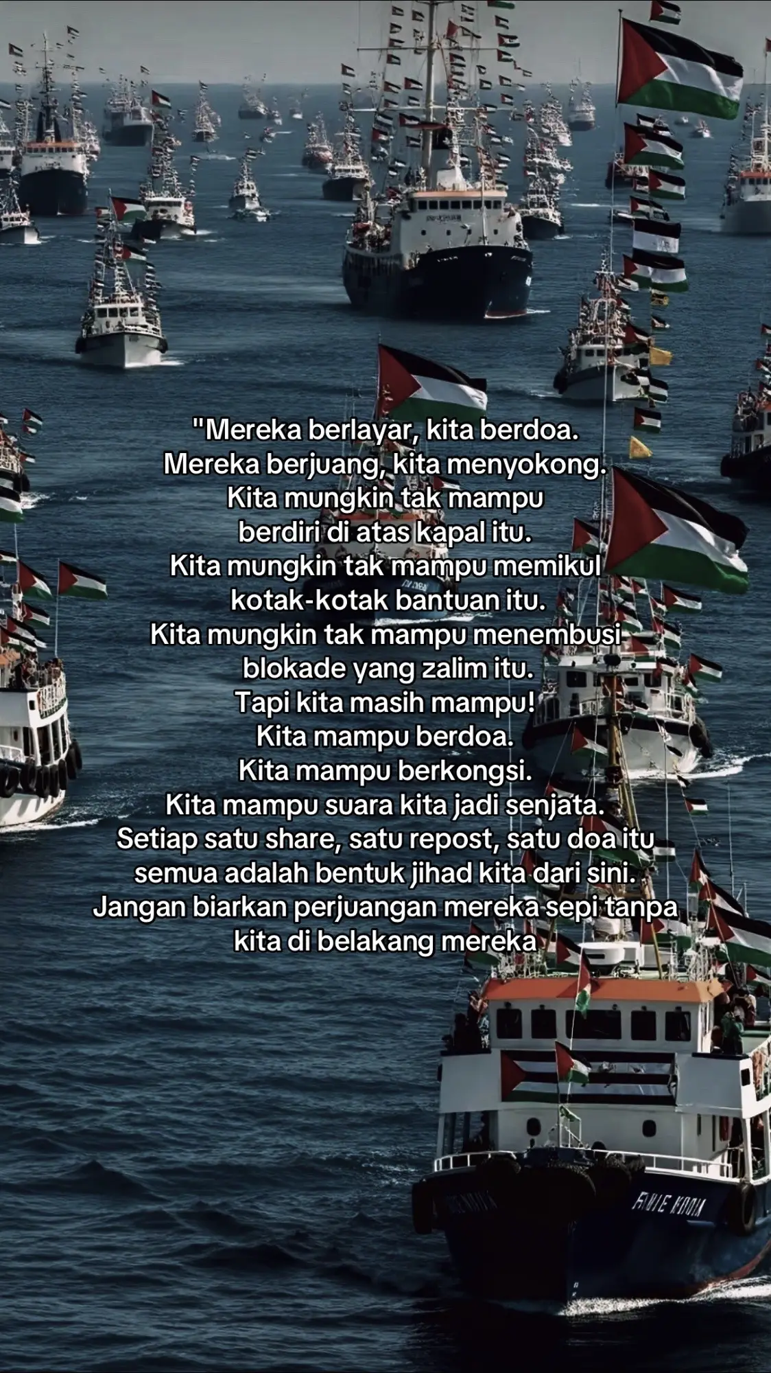 🇵🇸🫶🏻 #globalsumudflotilla 