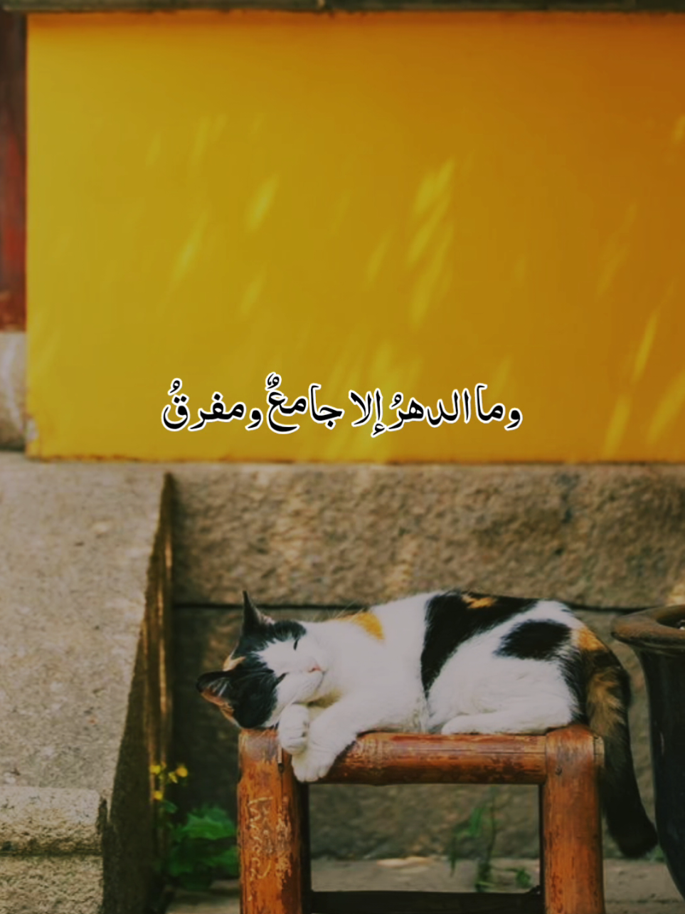 وما الدهرُ إلا جامعٌ ومفرقُ🥹 #مؤثر #foryoupage #أكسبلور #لايك__explore___ #viraltiktok @قرآن/ Qur'an @🌹بّےـسًےـمِےـة آمِےـلَ🌹 @أصيل الأشعري🎙️ 