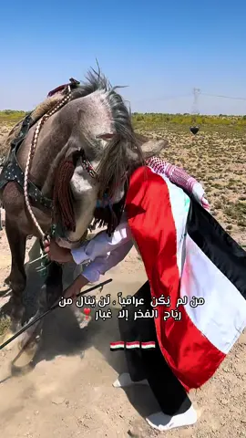 #الفارسة_الملثمة #اليوم_الوطني_العراقي🇮🇶 #الشعب_الصيني_ماله_حل😂😂 #اكسبلور #horses 