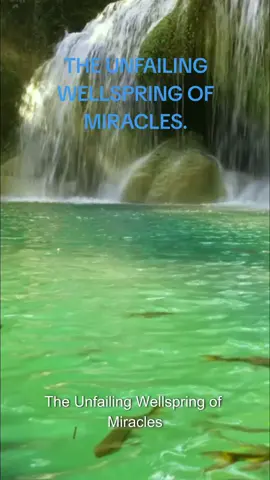 THE UNFAILING WELLSPRING OF MIRACLES  - #UnfailingWellspring - #WellspringOfMiracles - #MiracleSeason - #FaithInAction - #DivineMiracles