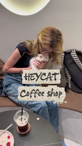 J’ai testé le nouveau concept de coffee shop @HEYCAT COFFEE SHOP ✪  et je suis totalement sous le charme ! Ps : les chats étaient en très bonne santé ce genre de race adorent dormir,je sais de quoi je parle j’en ai deux à la maison, donc ils ne sont en aucun cas sedater ou maltraité, merci de suivre les règles qui sont indiqués pour le bien être de nos chers amis à quatre pattes 🫶 . . . . . . #foryoupage #🇩🇿 #cat #catlover #algeria 