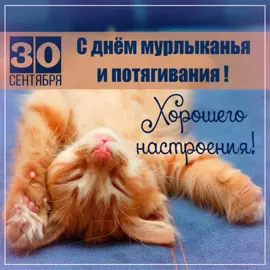 #сднеммурлыканья#30#сентябрь#праздник #fyp