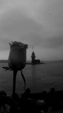 ، فإن الله يُمهل ولا يُهمل. ❤️‍🩹👌🏻🥀#الحمدلله_دائماً_وابداً💚 
